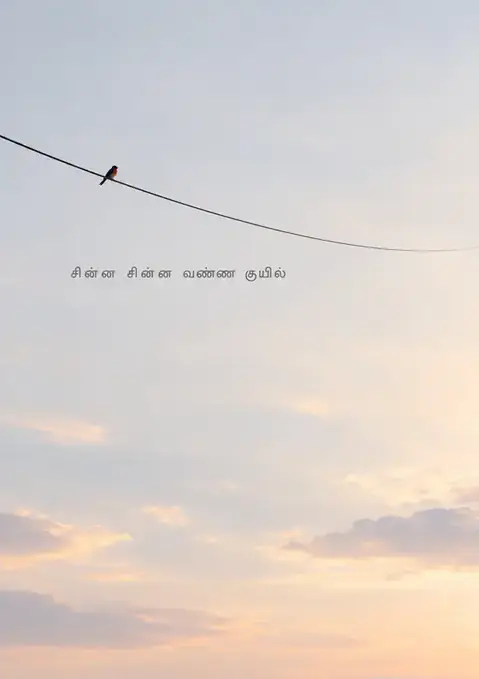 Chinna Chinna Vanna Kuyil poster, Dawn sky, minimal photograph