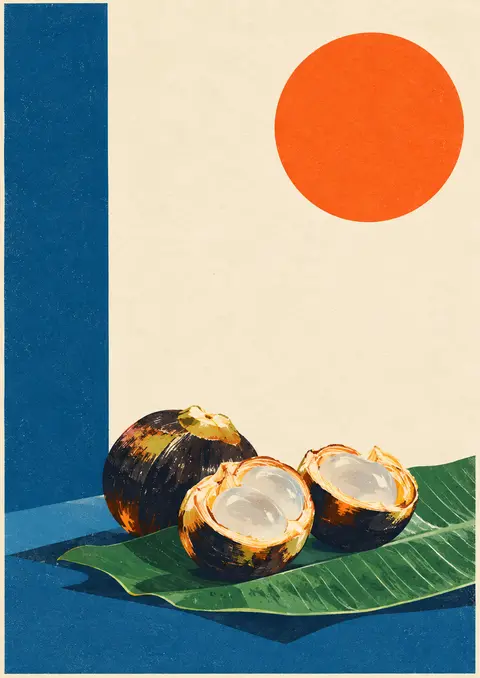 Nungu poster, Retro screen-print still life